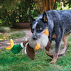 KONG Shakers Honkers Duck Large - Superpet Limited