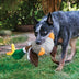 KONG Shakers Honkers Duck Large - Superpet Limited