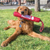 KONG Signature Stick with Rope - Superpet Limited