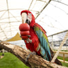 KONG Small Animal - Superpet Limited