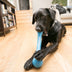KONG SqueakStix Medium - Superpet Limited