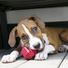 KONG Stuff-A-Ball Small - Superpet Limited