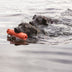 KONG Training Dummy Large - Superpet Limited