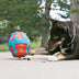 KONG Treat Spinner Large - Superpet Limited