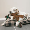 KONG Tree FetchStix with Rope Large - Superpet Limited