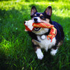 KONG Winders Fox Medium - Superpet Limited