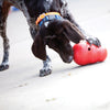 KONG Wobbler Large - Superpet Limited