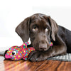 KONG Wubba Finz Pink Small - Superpet Limited