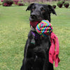 KONG Wubba Weaves Large - Superpet Limited