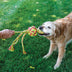 KONG Wubba Weaves With Rope X-Large - Superpet Limited