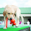 KONG Wubba Wet Large - Superpet Limited