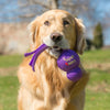 KONG Wubba X-Large - Superpet Limited