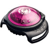 Orbiloc Dog Dual Safety Light Pink - Superpet Limited