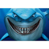 Penn Plax Finding Nemo Bruce Aquarium Background, 20’’x12’’ - Superpet Limited