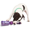 PetSafe Busy Buddy Tug-a-Jug (Medium/Large) - Superpet Limited