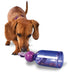 PetSafe Busy Buddy Tug-a-Jug (Small) - Superpet Limited