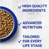 Purina One Adult Cat Salmon 800g - Superpet Limited