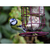 Suet To Go Premium Suet Balls Wild Bird Treat, 150 x 90 g - Superpet Limited