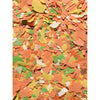 Supa Value Pond Flake 3 Litres - Superpet Limited
