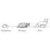 Superpet Super Premium Fox Badger And Hedgehog Food - Superpet Limited