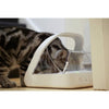 SureFeed Microchip Pet Feeder - Superpet Limited