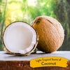 TropiClean Hypoallergenic Gentle Coconut Puppy & Kitten Shampoo 3.8L - Superpet Limited