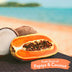 TropiClean Luxury 2-in-1 Papaya & Coconut Pet Shampoo & Conditioner 3.8L - Superpet Limited