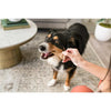 Whimzees Antler Bulk Box - Superpet Limited