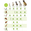 Whimzees Stix M 100pcs - Superpet Limited